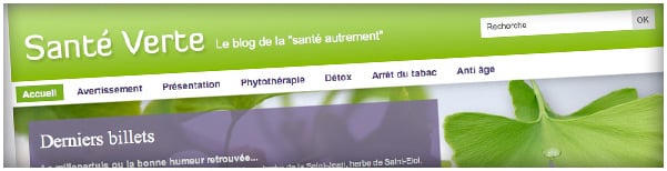 Création Agence Dn'D - Sante-Verte.fr, le blog de la "santé autrement"