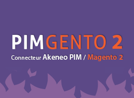 Image de l'article : PIMGento 2 : le connecteur entre Akeneo PIM et Magento 2