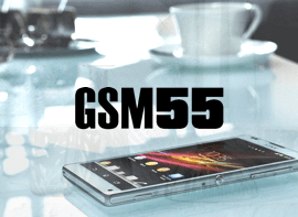 GSM55 - Français