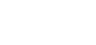 Logo Bricorama