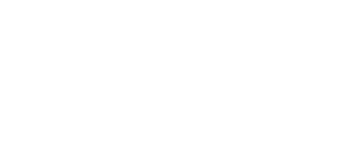 Logo de Louis Pion