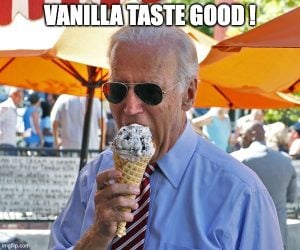 Vanilla taste good !