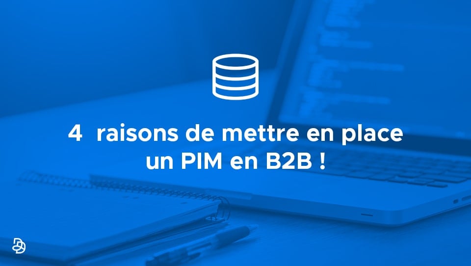 Agence Dn'D - 4 raisons PIM B2B