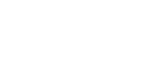 Logo TIDYS