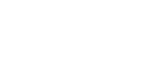 Logo de Team Vitality